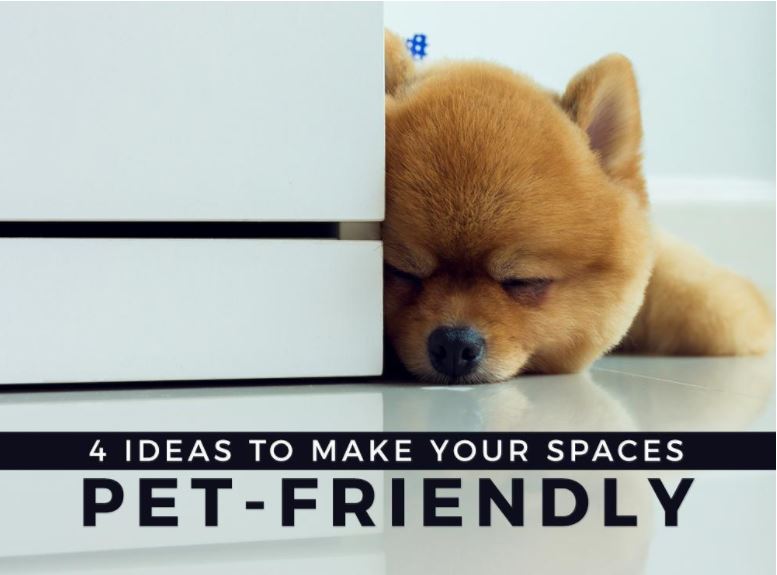 Pet-Friendly Space