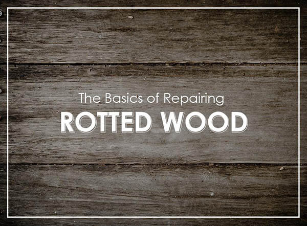 Rotted Wood
