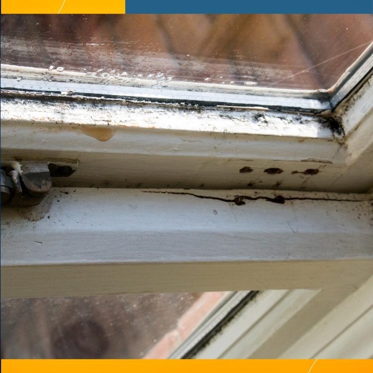 https://handymanconnection.com/brantford/wp-content/uploads/sites/12/2022/04/Brantford-Repair-Services-4-Signs-of-a-Window-Leak.jpg