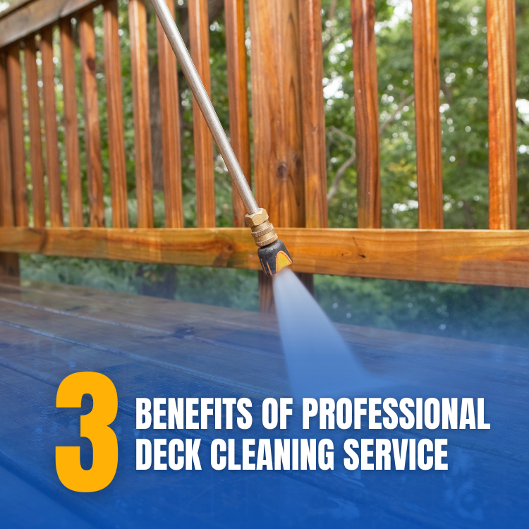Professional deck cleaning
