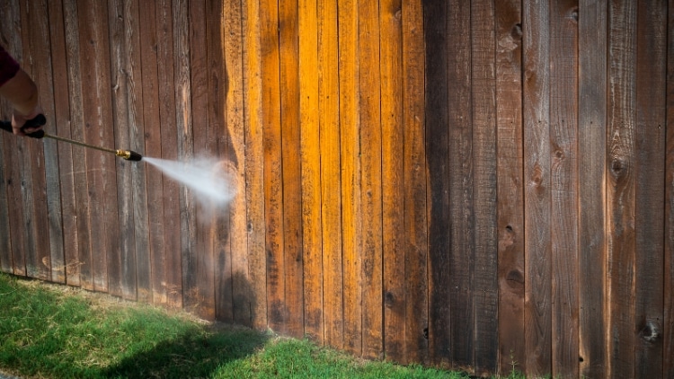 Fence Cleaning and Staining content image