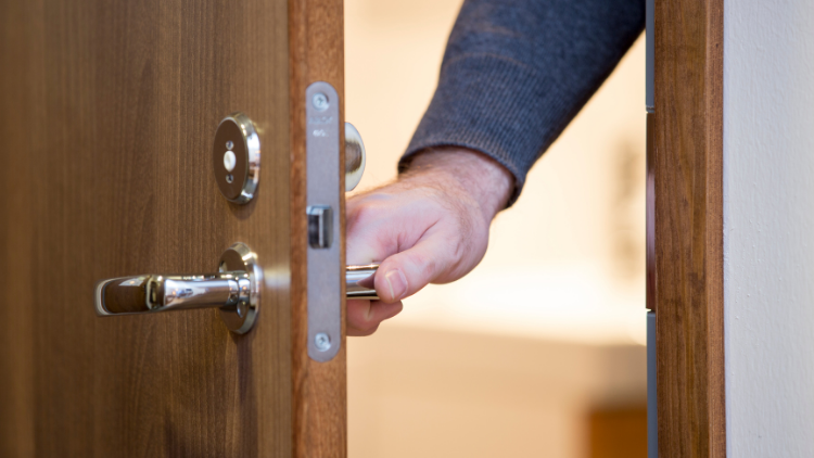 Lever-Style Handles and Controls