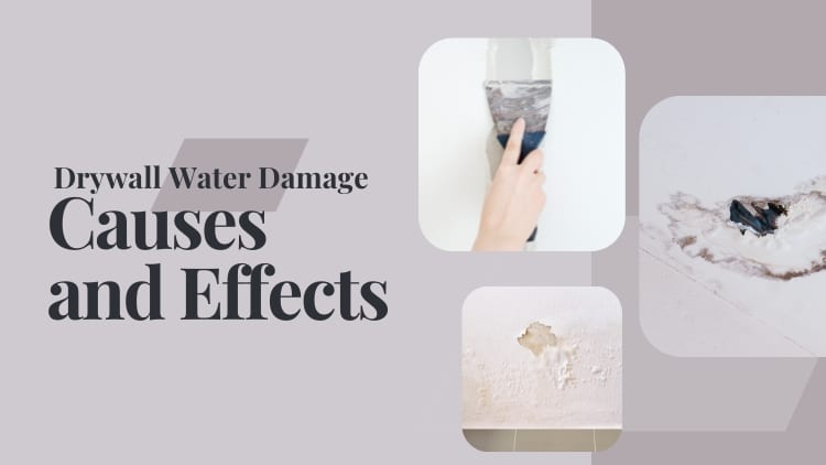 Drywall Water Damage Causes and Effects