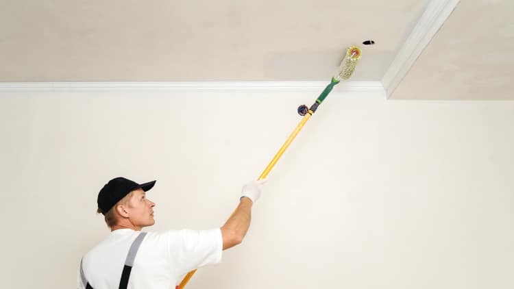 professional painter for their ceiling makeover