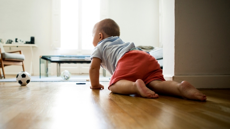 Safeguarding Electrical Cords Around the House