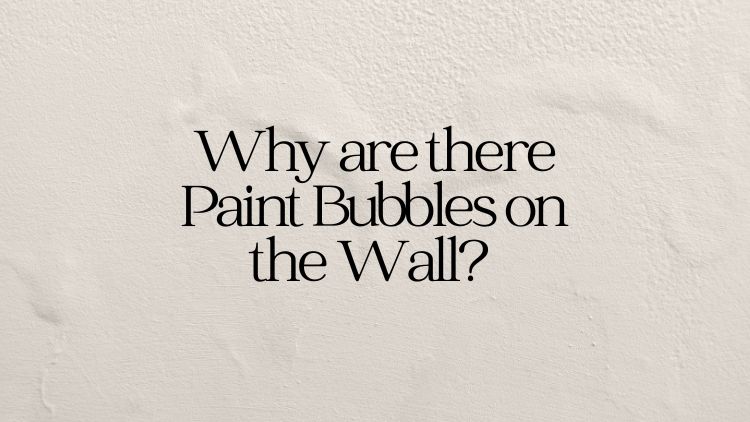 https://handymanconnection.com/calgary/wp-content/uploads/sites/14/2025/01/Banner_-Why-are-there-Paint-Bubbles-on-the-Wall.jpg