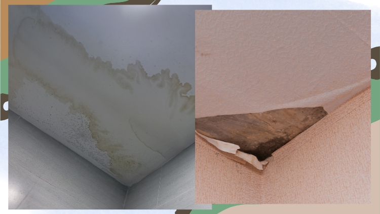 https://handymanconnection.com/calgary/wp-content/uploads/sites/14/2025/09/Water-Damage-On-The-Ceiling_-What-It-Means-And-How-To-Fix-It.jpg