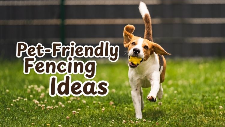 Secure Your Outdoor Space: Handyman Solutions for Pet-Friendly Fencing
