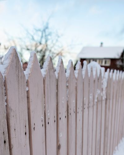 Snow winter backyard