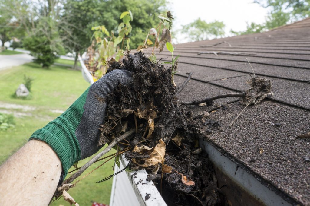 https://handymanconnection.com/colorado-springs/wp-content/uploads/sites/5/2021/05/bigstock-Worker-Cleaning-Gutters-For-A-98897165-1024x683-1.jpeg