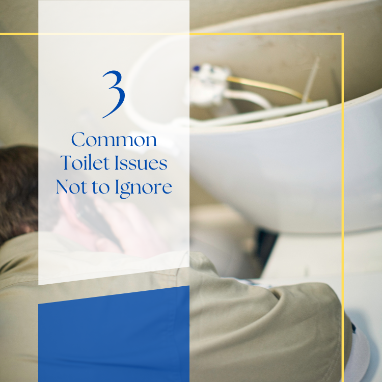 3 common toilet issues not to ignore