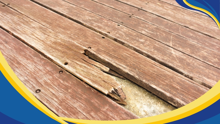 Edmonton Handyman_ How to Handle Rotten Deck Posts and Boards