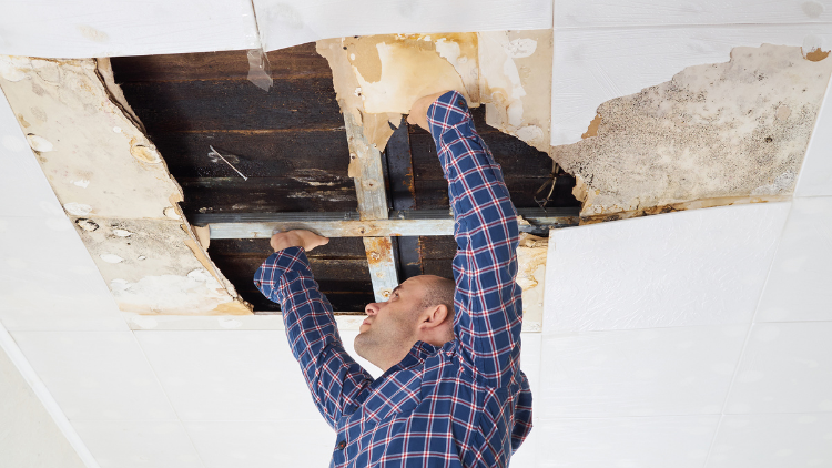 How Our Professional Team Approaches Ceiling Repair vs Repainting