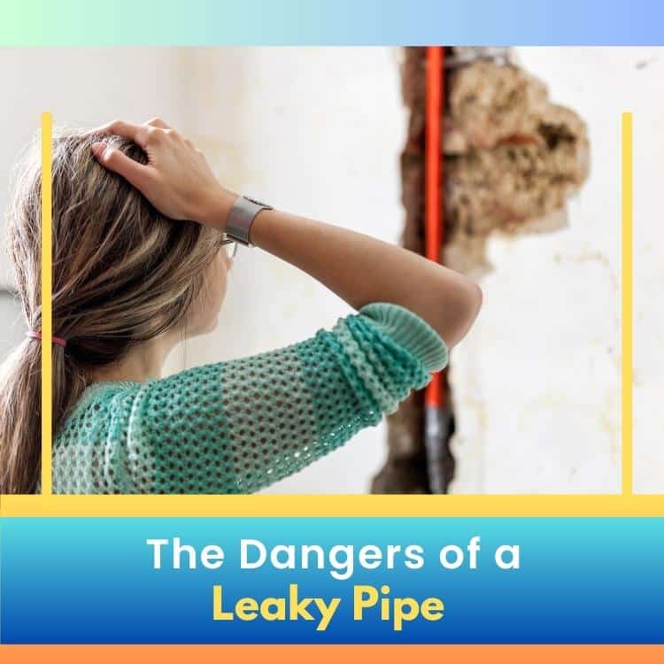 The Dangers of a Leaky Pipe