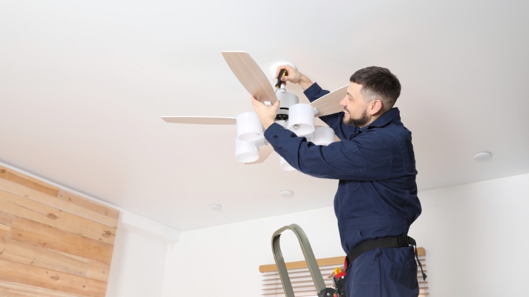 Regular Ceiling Fan Maintenance