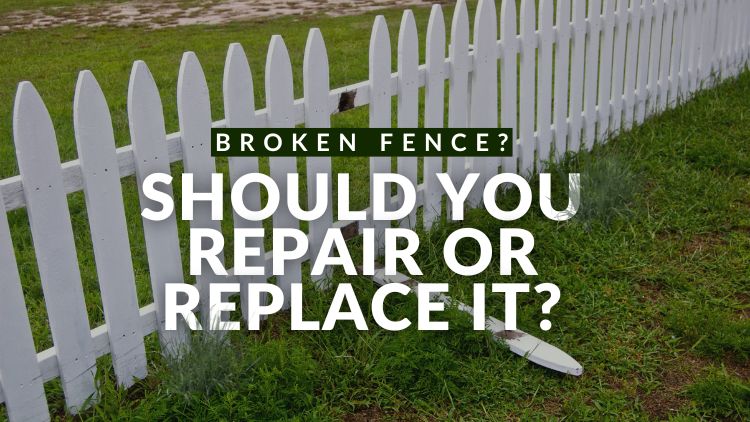 https://handymanconnection.com/etobicoke/wp-content/uploads/sites/50/2025/09/Broken-Fence-Should-You-Repair-Or-Replace-It.jpg