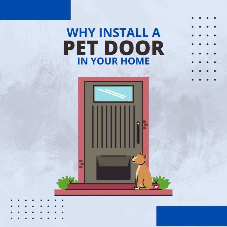 https://handymanconnection.com/frisco/wp-content/uploads/sites/96/2023/07/Pet-Door.png