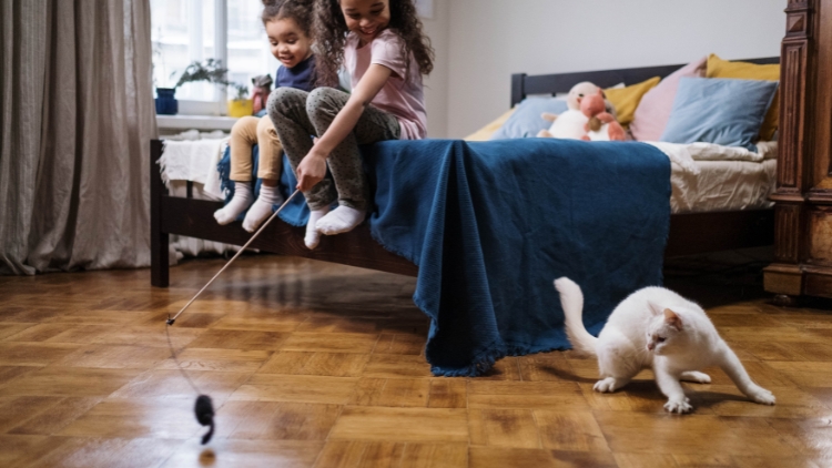 Sustainable and Eco-Friendly Options