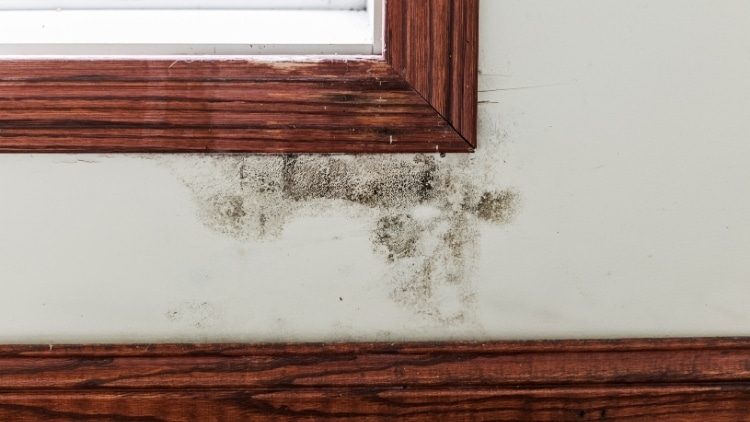 Signs That It's Time to Seek Professional Drywall Services