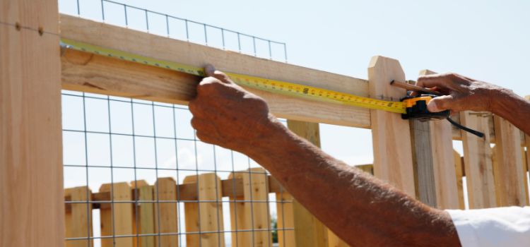 Dog-Friendly Fence Features