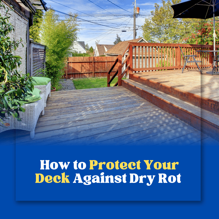 Protect your deck against dry rot