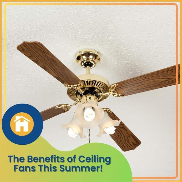 https://handymanconnection.com/kelowna/wp-content/uploads/sites/24/2023/06/Kelowna-Electrician_-The-Benefits-of-Ceiling-Fans-This-Summer.jpg