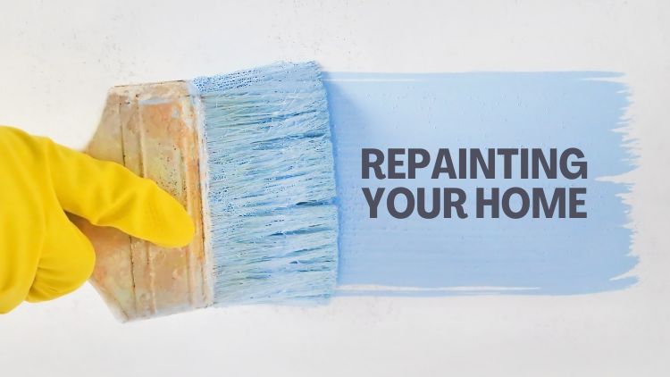 https://handymanconnection.com/kelowna/wp-content/uploads/sites/24/2024/12/Repainting-Your-Home.jpg