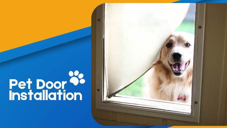 https://handymanconnection.com/kelowna/wp-content/uploads/sites/24/2026/04/Pet-Door-Installation_-What-to-Expect-from-the-Pros.jpg