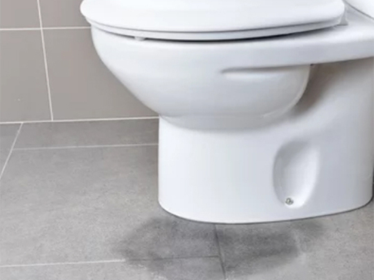 https://handymanconnection.com/kitchener/wp-content/uploads/sites/25/2021/08/preview-full-Why-Is-Your-Toilet-Leaking-GMB.jpg