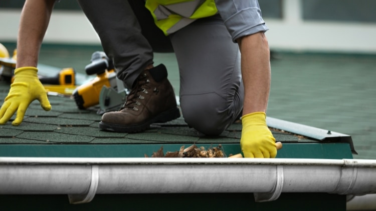 Maintaining you property - Gutter Cleaning and Maintenance