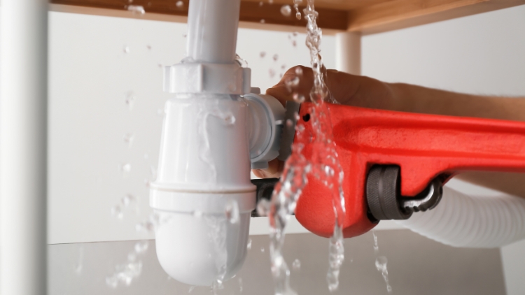 Professional Leak Detection Methods