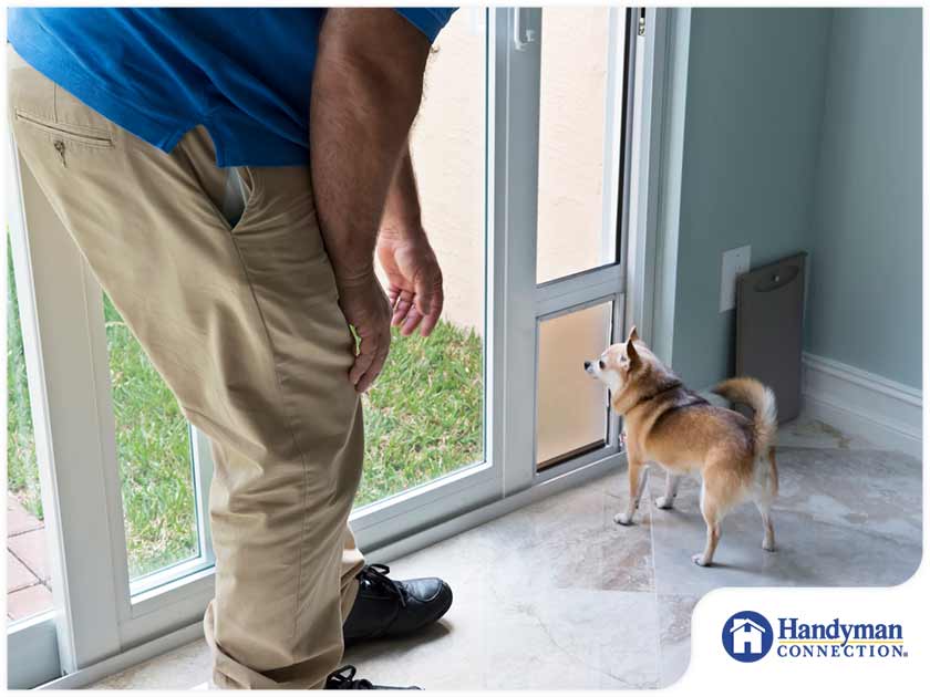 Doggie Doors: The Pros and Cons - Handyman Connection