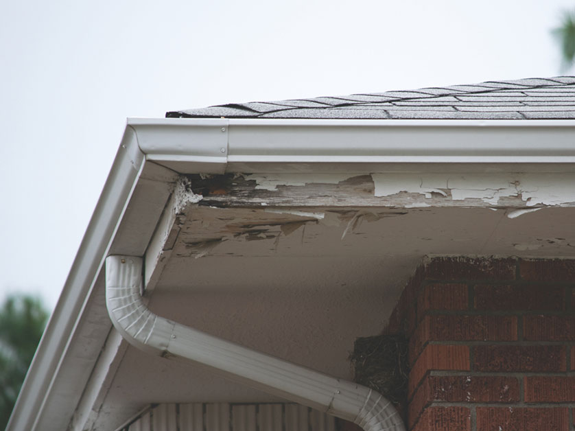 https://handymanconnection.com/mason/wp-content/uploads/sites/29/2026/09/Home-Repair.jpg
