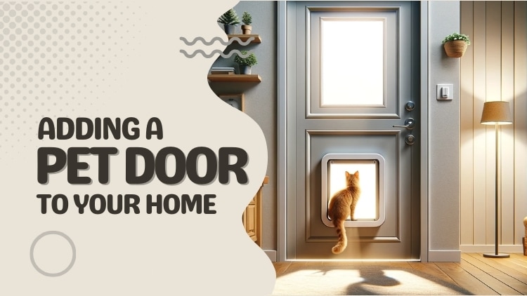 https://handymanconnection.com/mckinney/wp-content/uploads/sites/31/2024/03/Carpenter-in-McKinney_-Adding-a-Pet-Door-To-Your-Home.jpg