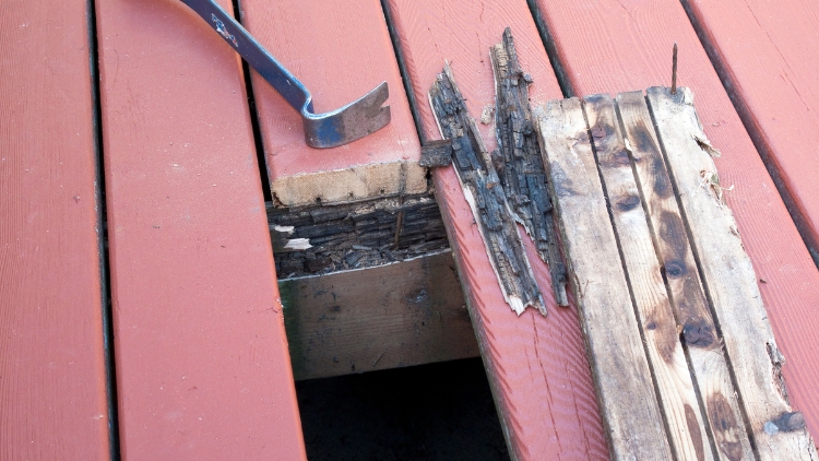 Choose Handyman Connection for Deck Restoration in Plano