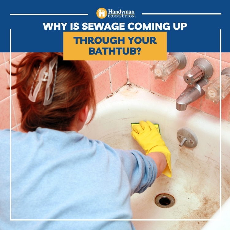 Why is Sewage Coming Up Through Your Bathtub?