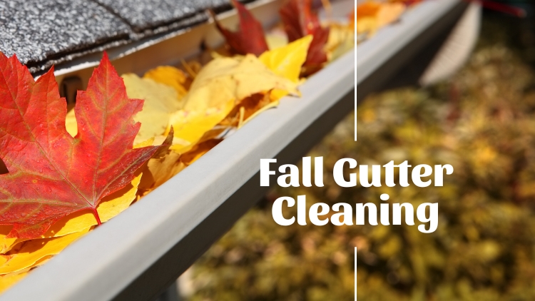 https://handymanconnection.com/mississauga/wp-content/uploads/sites/66/2024/10/Fall-Gutter-Cleaning.jpg