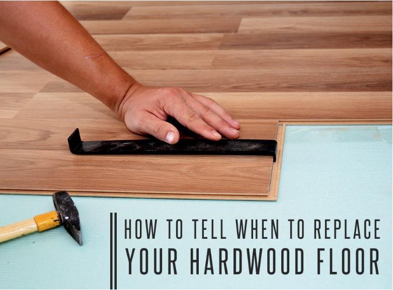 How to Tell When to Replace Your Hardwood Floor hardwood floor