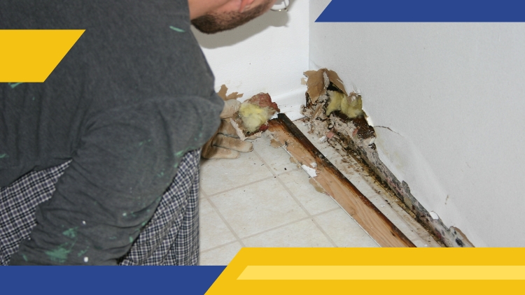 https://handymanconnection.com/ottawa/wp-content/uploads/sites/38/2024/07/When-to-Call-Handyman-Connection-in-Ottawa_-Identifying-Signs-of-Serious-Drywall-Damage-Drywall-hole-repair.jpg