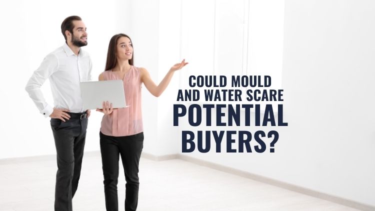 How Your Water and Mould Problems Could Scare Off Potential Buyers