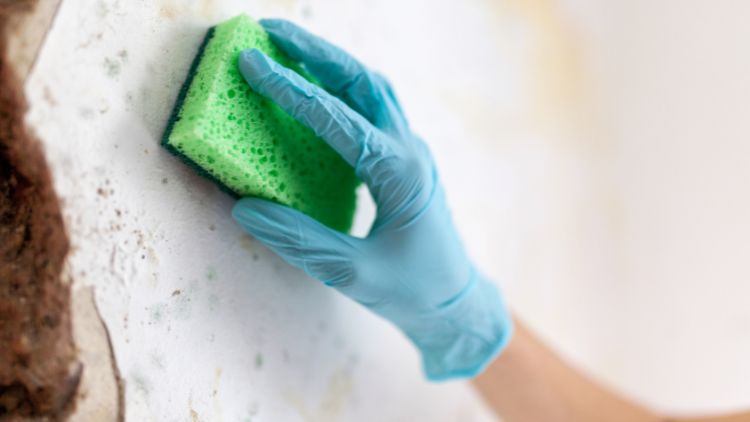 Addressing the Source: Preventing Future Water Damage