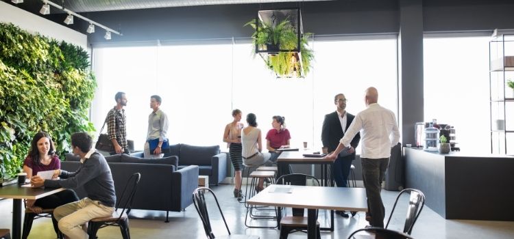 Enhancing Aesthetics and Comfort