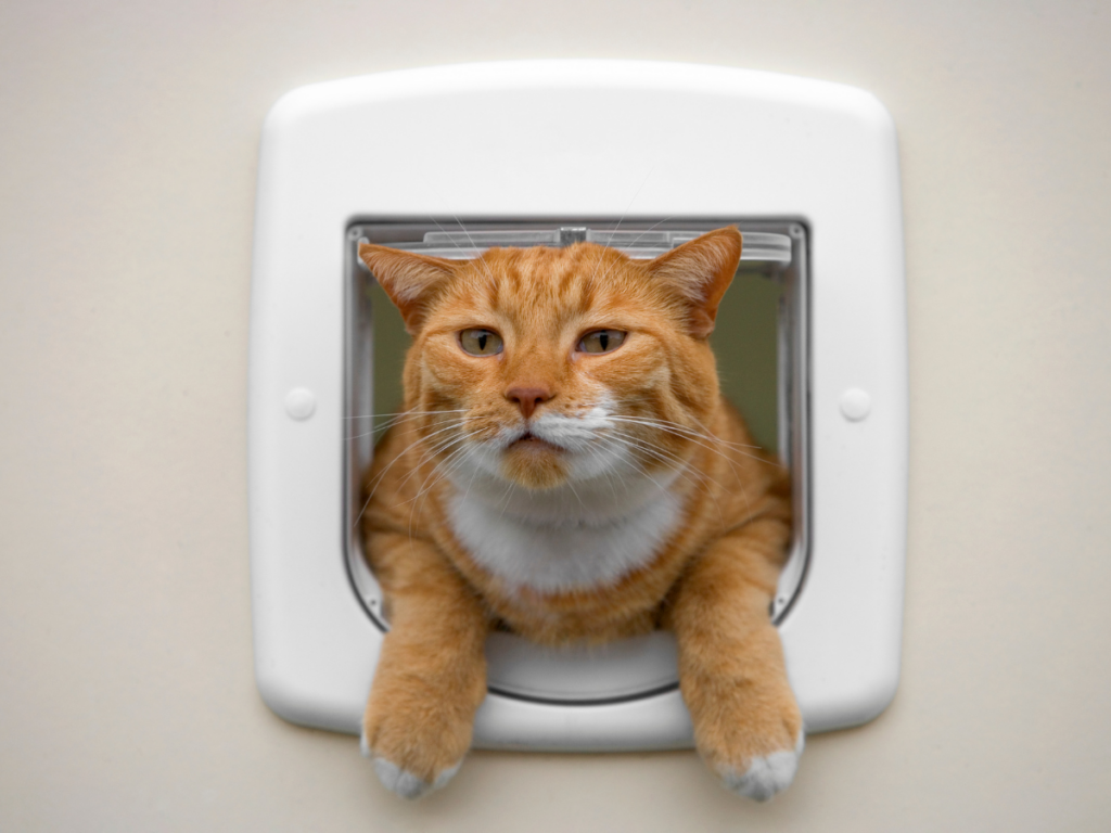 Pet doors