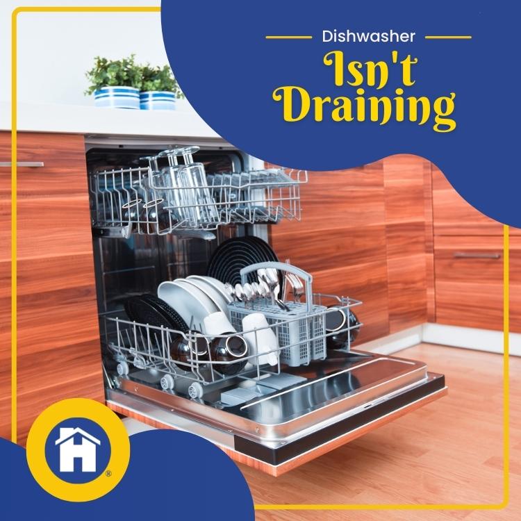 https://handymanconnection.com/red-deer/wp-content/uploads/sites/42/2022/10/Plumber-in-Red-Deer-Why-the-Dishwasher-Isn_t-Draining.jpg