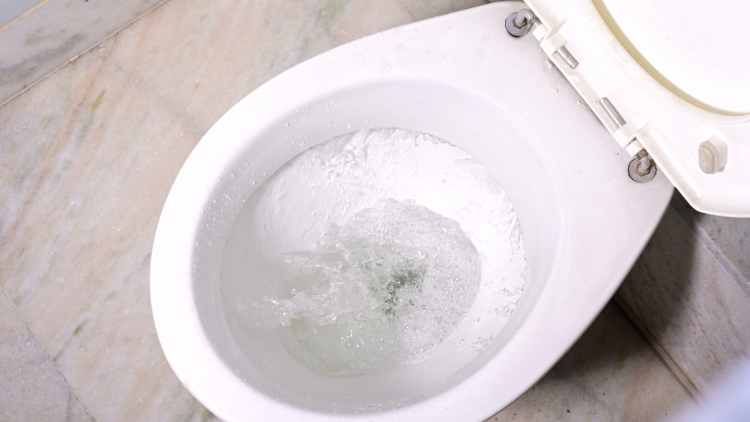 Reduce Water Bills with Toilet Repair