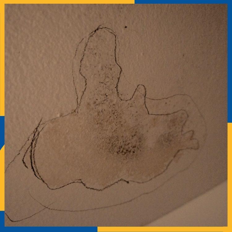 What causes drywall to bulge