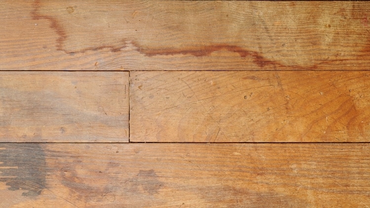 Safety Considerations: Risks of Ignoring Damaged Flooring