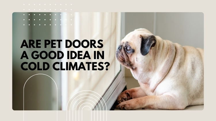 Handyman Connection Saskatoon: Are Pet Doors A Good Idea In Cold Climates?