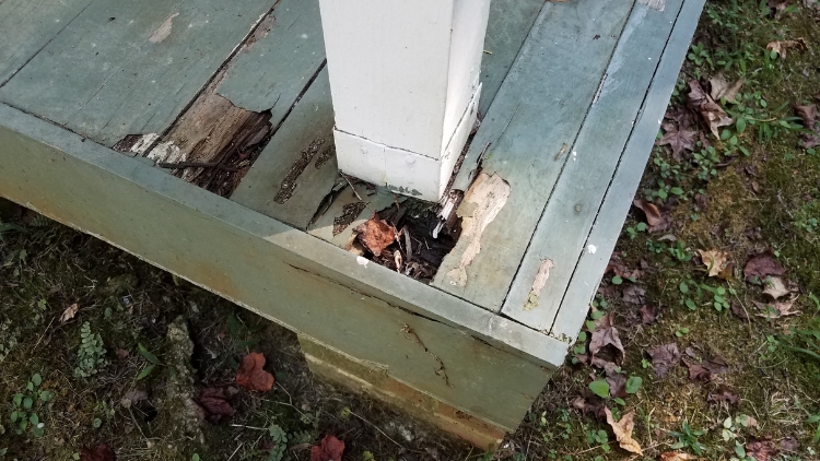 Seasonal Deck Care Tips for Safety and Durability