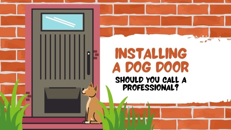 https://handymanconnection.com/saskatoon/wp-content/uploads/sites/45/2025/08/Installing-A-Dog-Door_-Should-You-Call-A-Professional.jpg